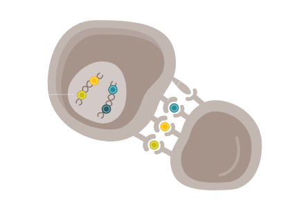 tumour-with-high-msimmrd.png